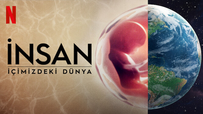 İnsan: İçimizdeki Dünya