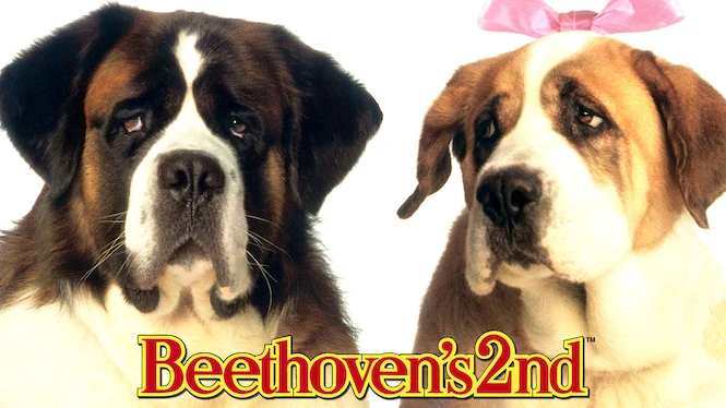 Beethoven 2